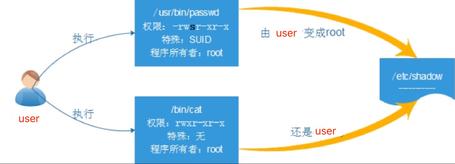 用户组和权限管理