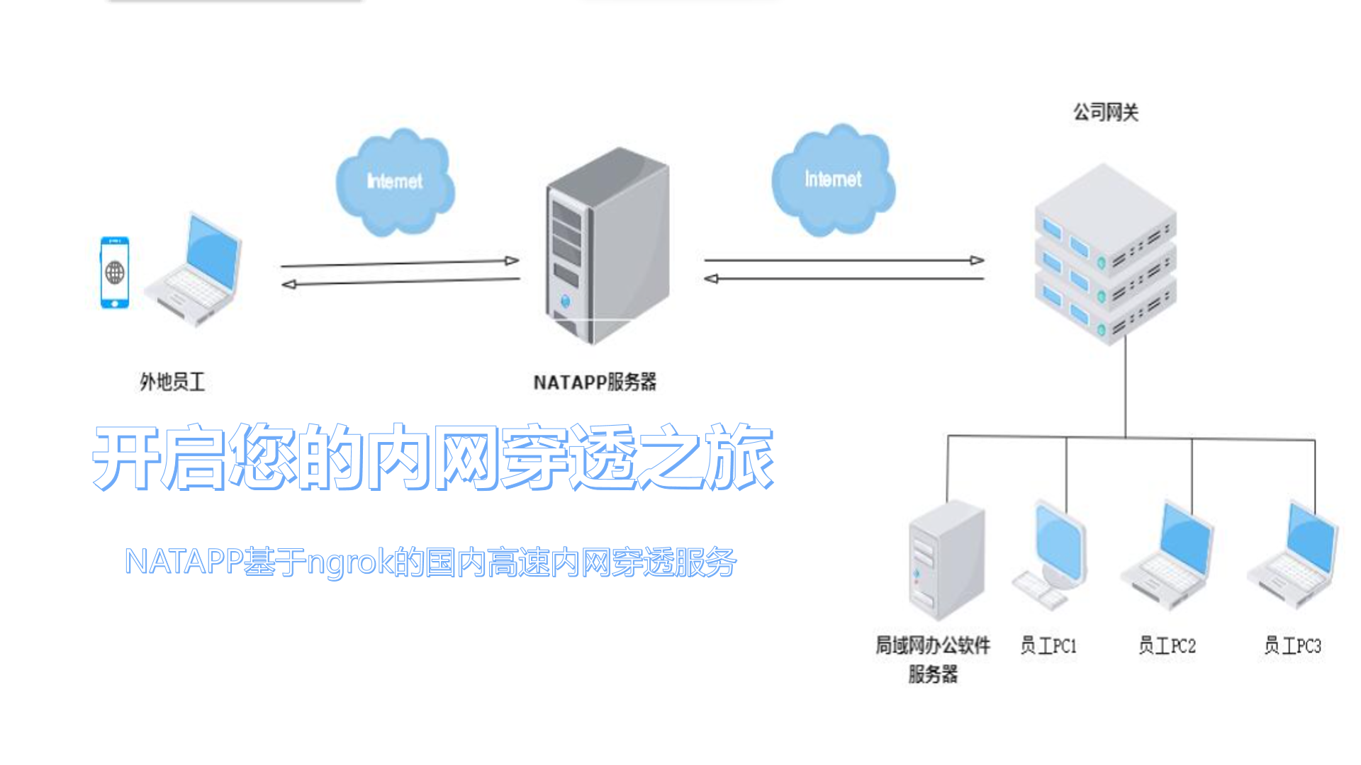 natapp 自启动脚本