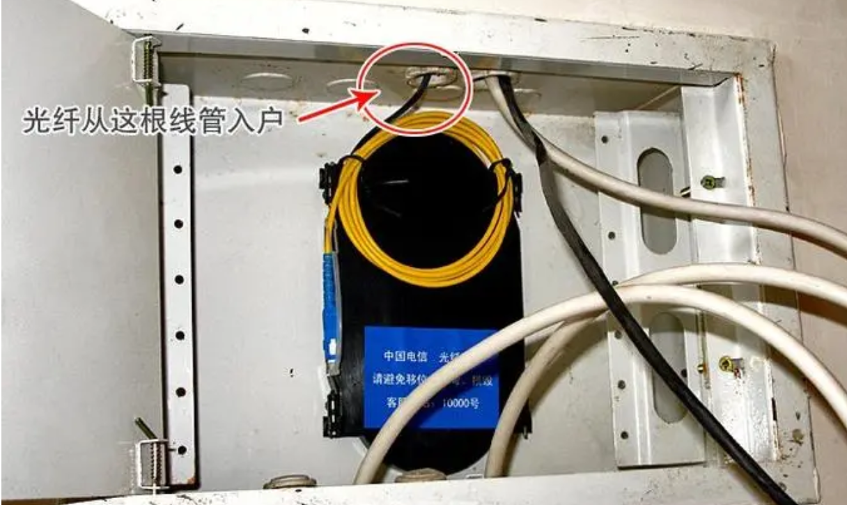image-20230330153811796