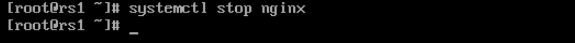 image-20220411231434148
