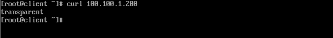 image-20221126224221868
