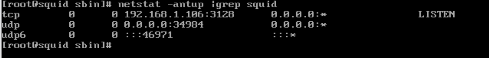 image-20221126224448309