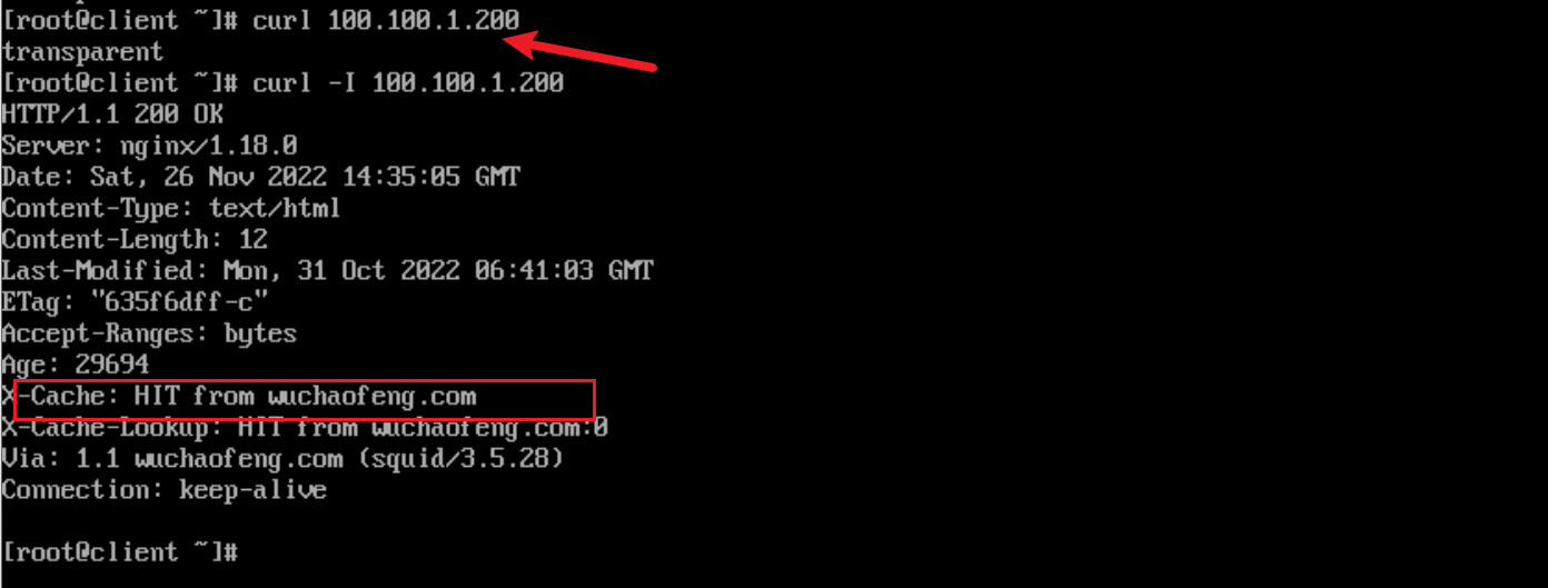 image-20221126225030176