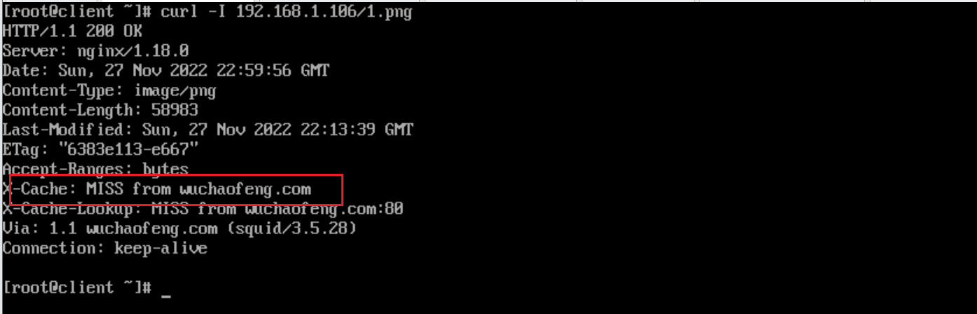 image-20221128221032031