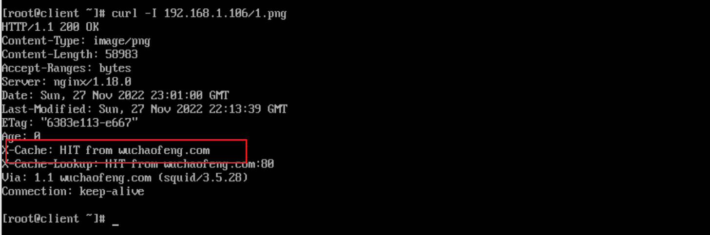 image-20221128221125361