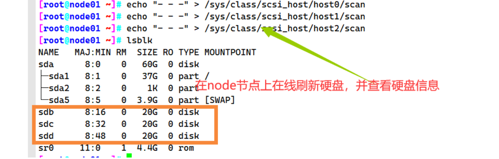 image-20231219151848490